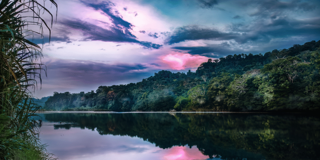 Amazonas-1.png