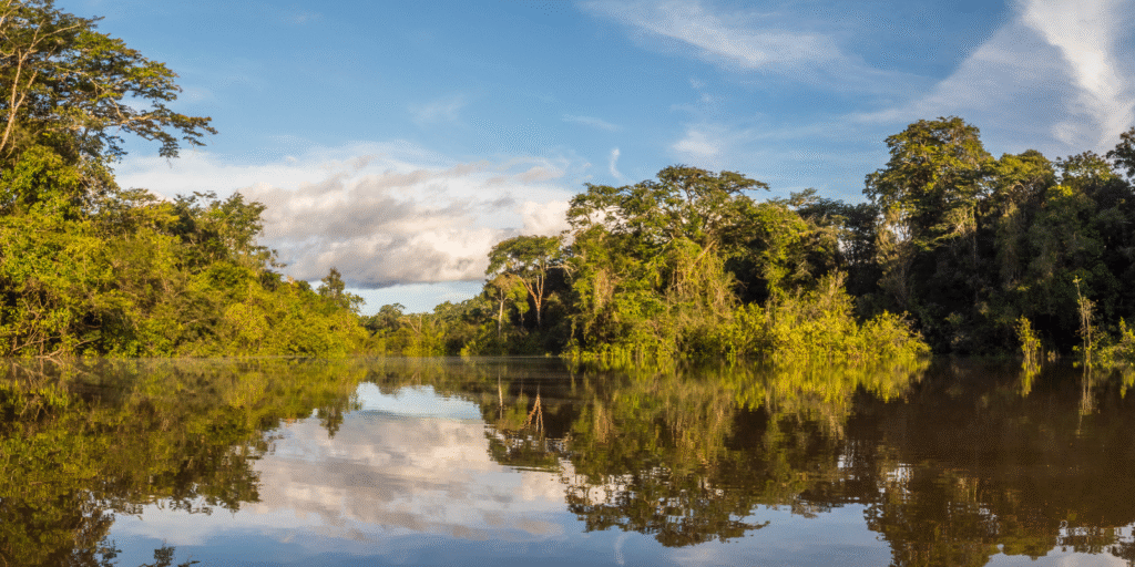 Amazonas-3.png